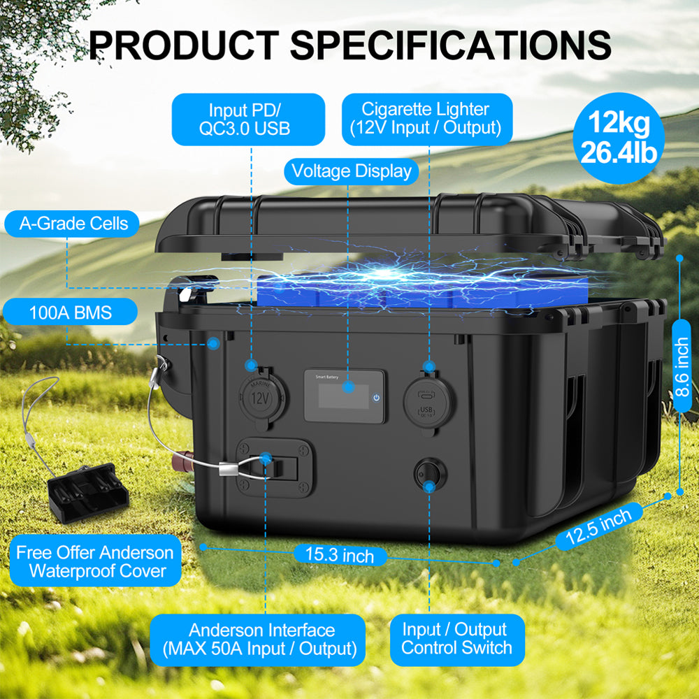 Lithium Iron Phosphate Battery Pack