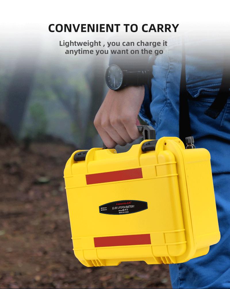 LIFEPO4 Battery Power Bank