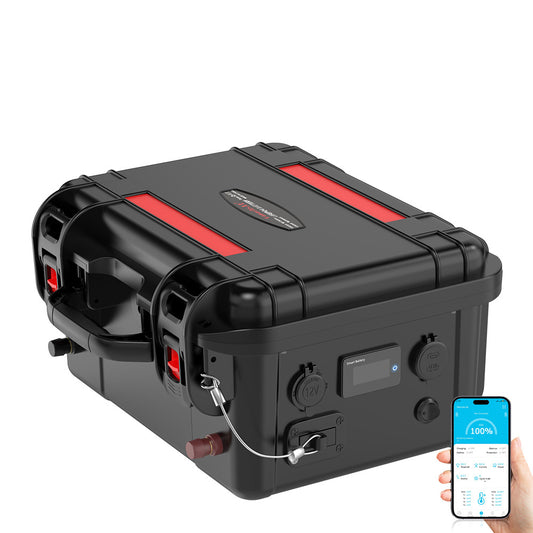 12V 100Ah 120Ah 150Ah 200Ah Lithium Iron Phosphate LiFePo4 Battery Pack with Bluetooth BMS